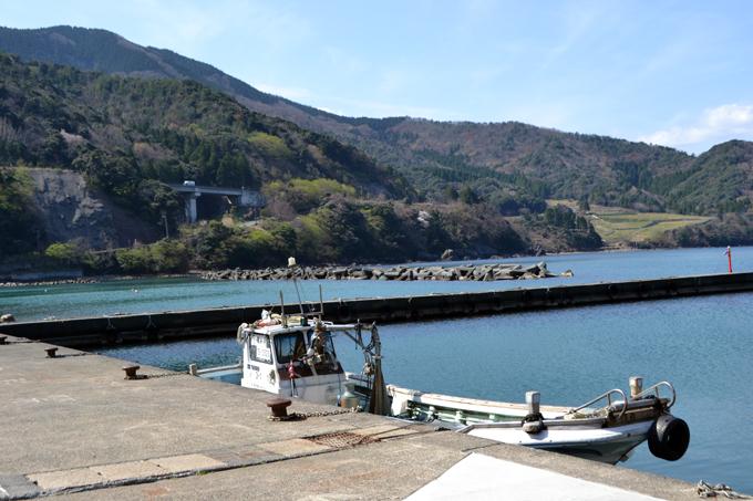 鶴姫(つるべ)漁港。ここから毎日、8時過ぎによっぱらいサバのいけすへと出船