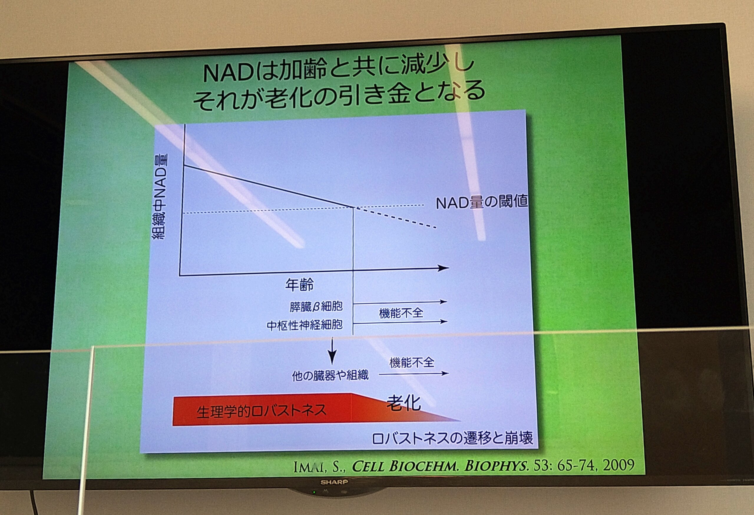 NADの減少を示したグラフ