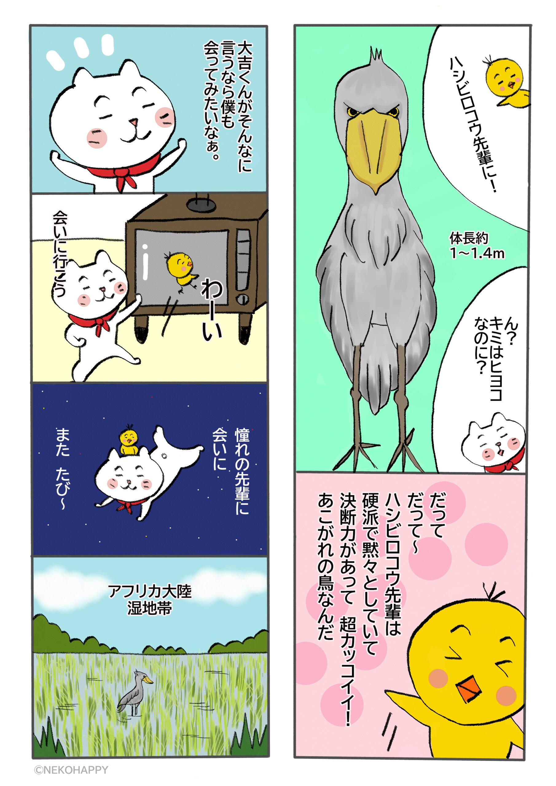 ハシビロコウのオーダーページ