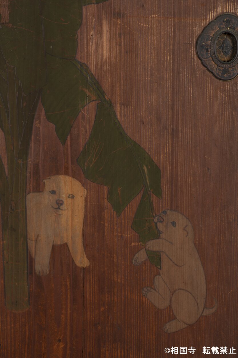 開山夢窓国師の木像を安置する開山堂の杉戸に描かれた「芭蕉小狗子図」。円山応挙は仔犬たちを何度も描いている。
