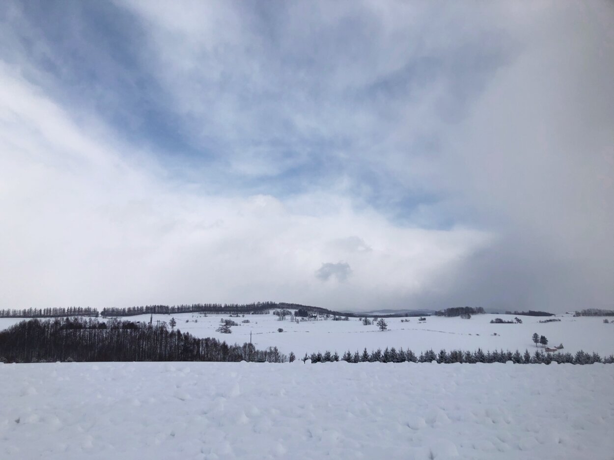  雪景色も絵になる新栄の丘