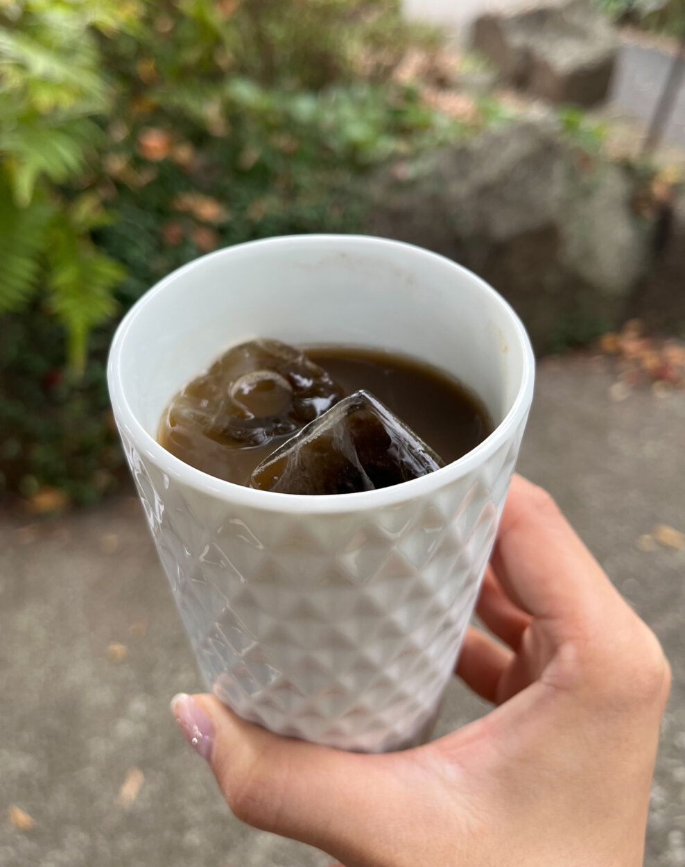 芝大門・増上寺さんにあるカフェでお酒を発見！ 「ほうじ茶ハイボール」をゴクリ。ほうじ茶の味が濃くよき！