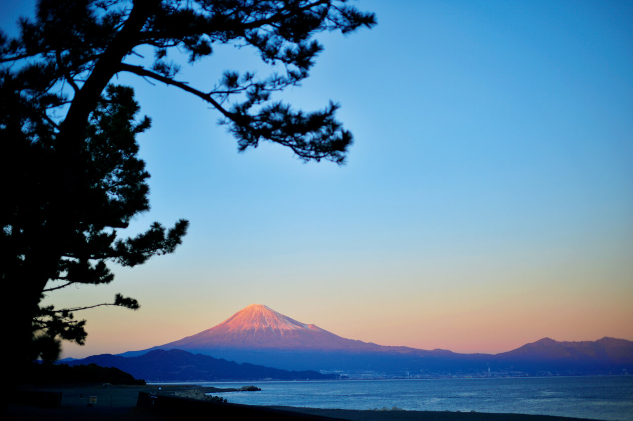 夕方の三保松原から、富士山を眺める