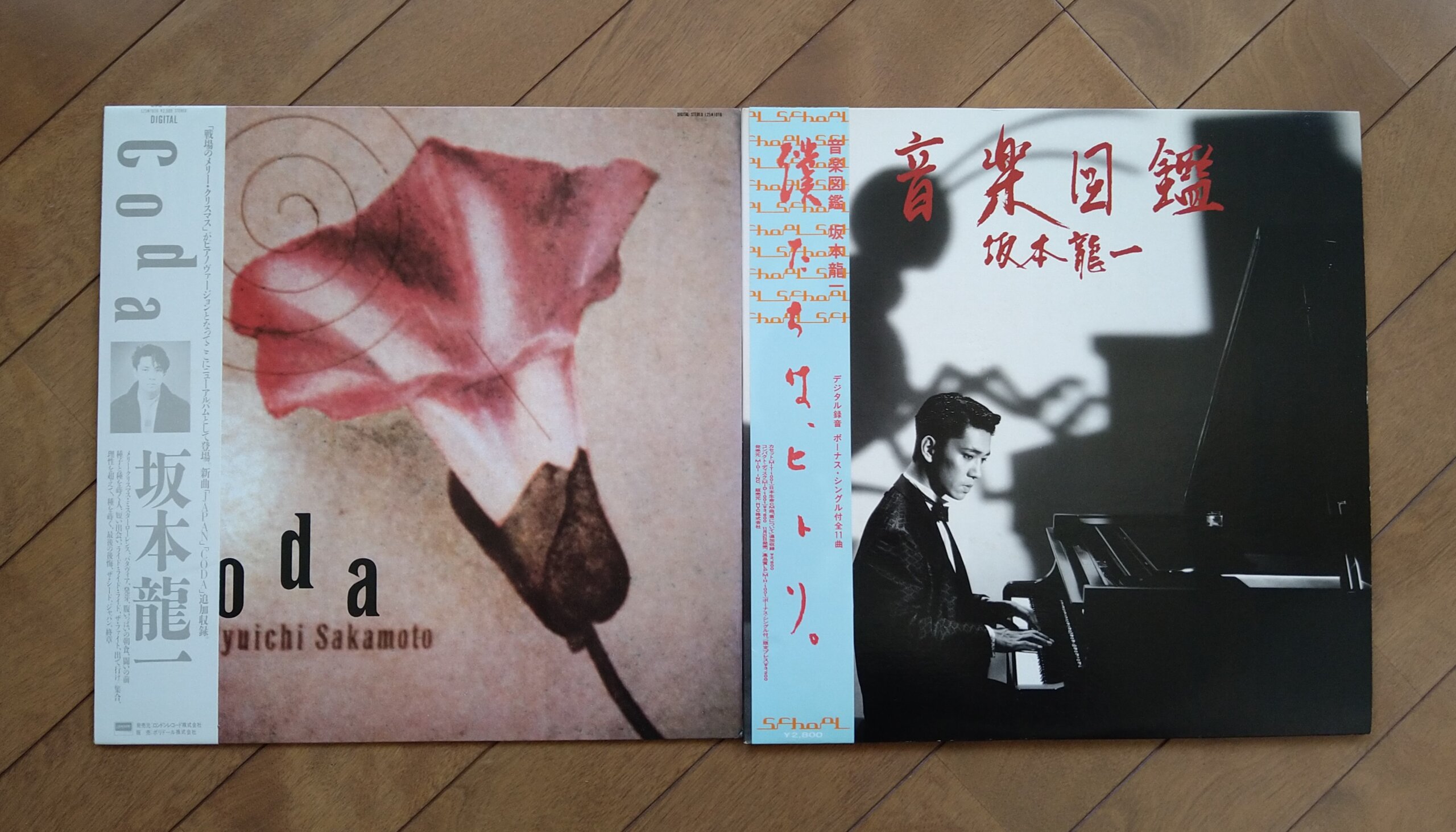 ☆坂本龍一 / 音楽図鑑 ☆LP+12inch Ryuichi Sakamoto - レコード