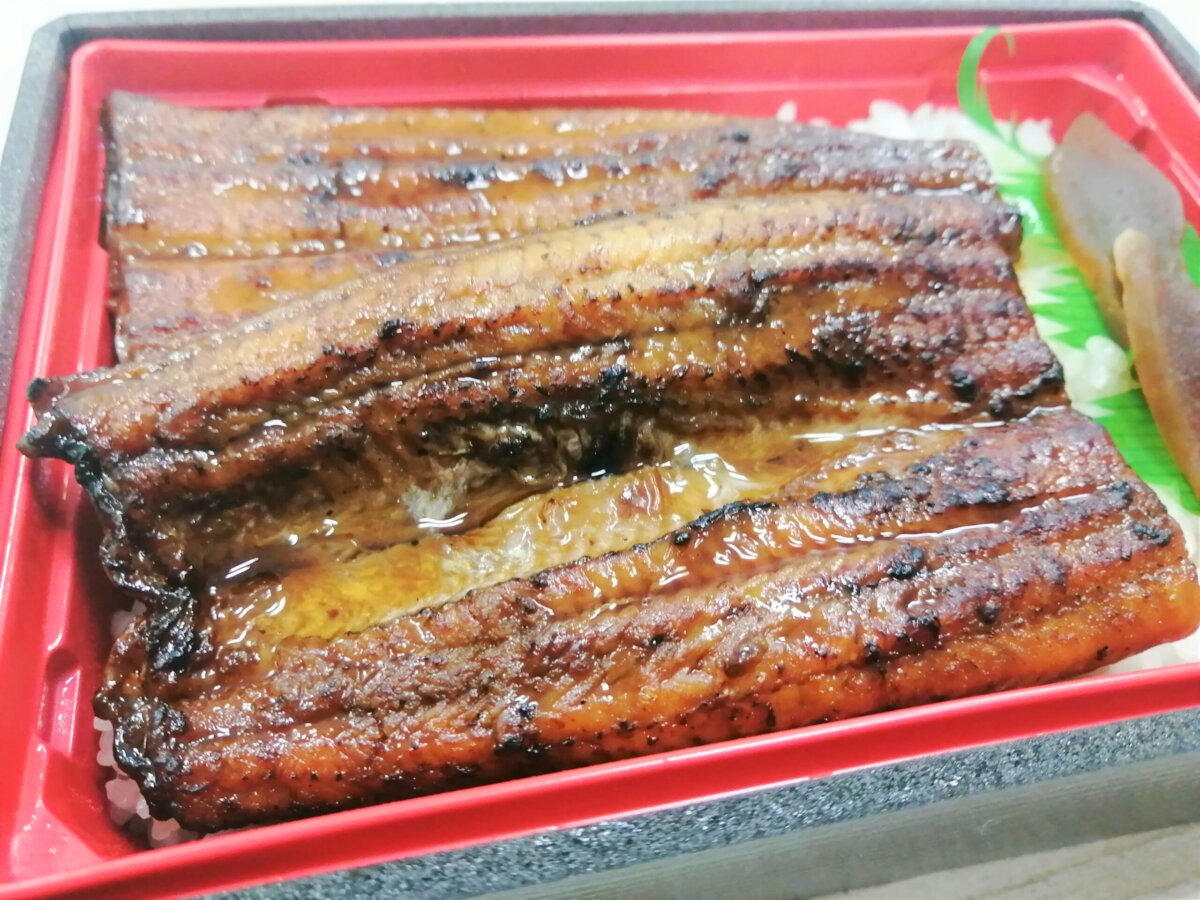 IMG_20230627_182254-1-scaled-