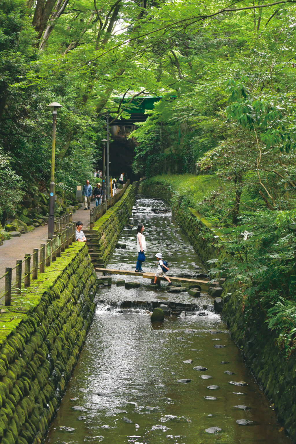 東京23区内の “湧水”3選 こんこんと湧き出る水でのんびり涼む | グルメ情報誌「おとなの週末Web」