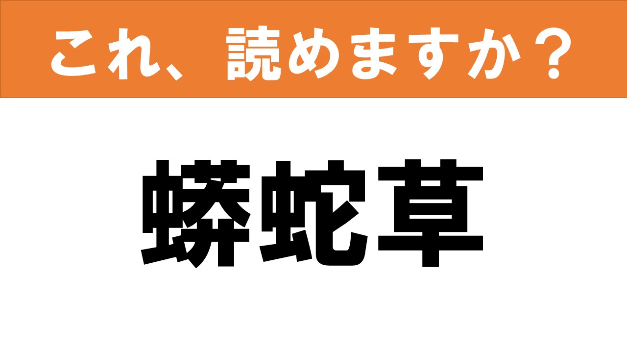 【難読漢字】食べ物クイズ 巨大な蛇が名前の由来 グルメ情報誌「おとなの週末web」