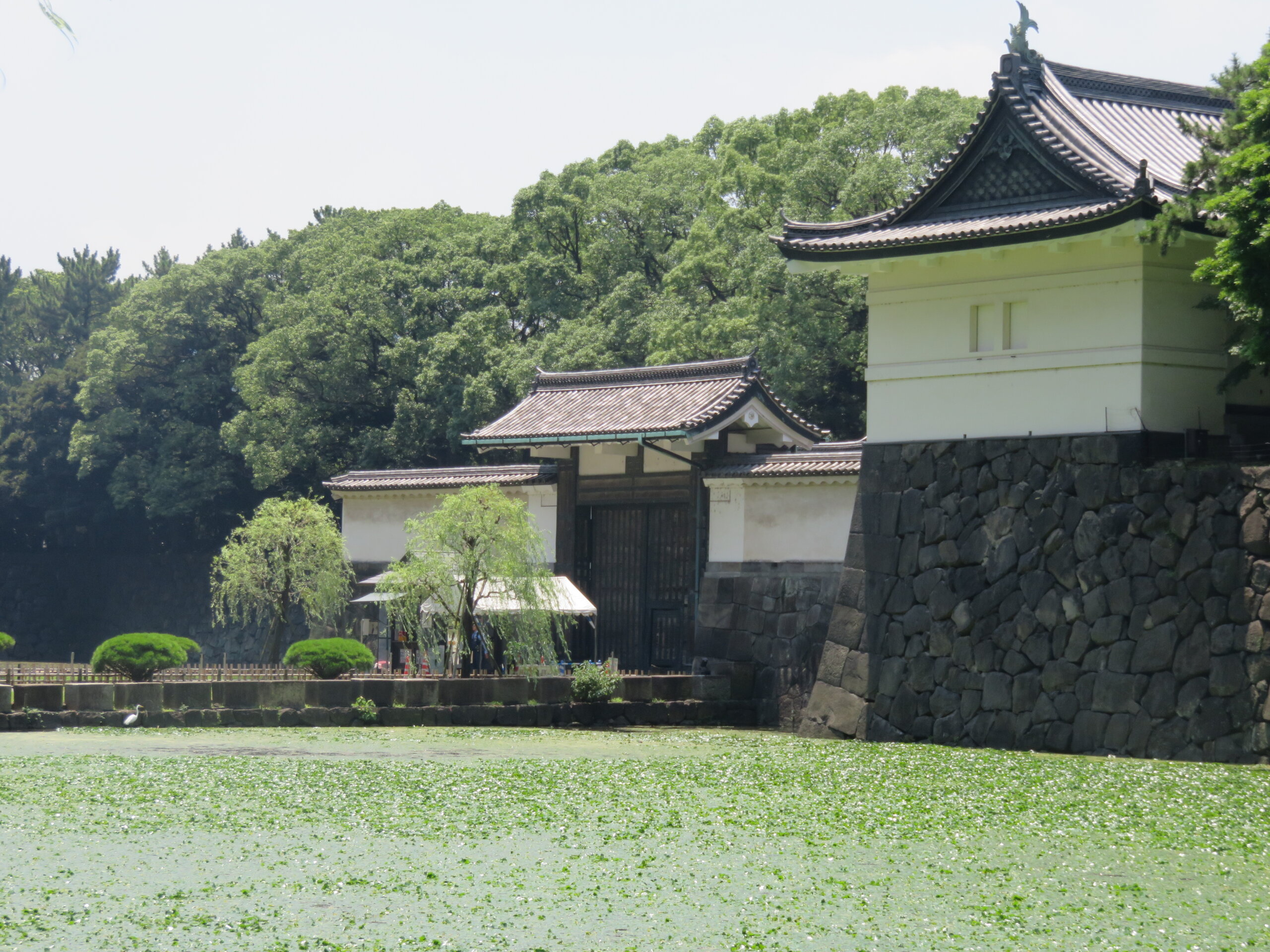 天皇陛下と雅子さまの「ワイン物語」 和食に込められた思いとは | グルメ情報誌「おとなの週末Web」