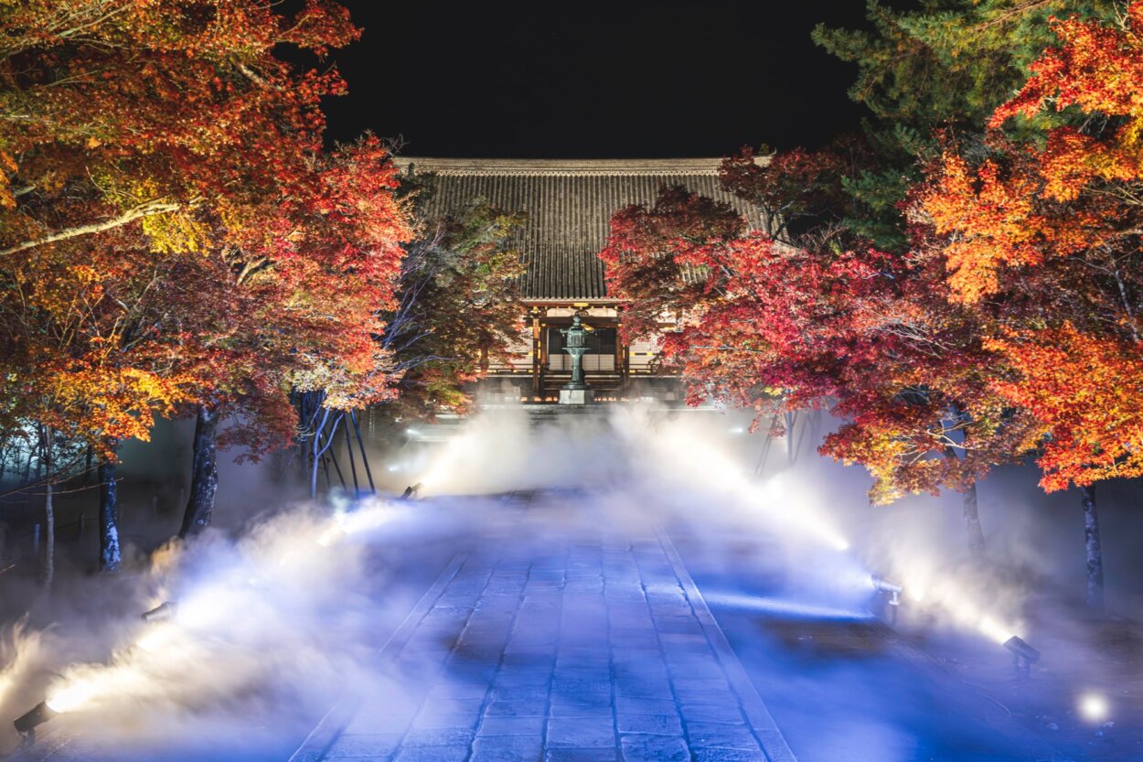 秋の夜長の雲海ライトアップ