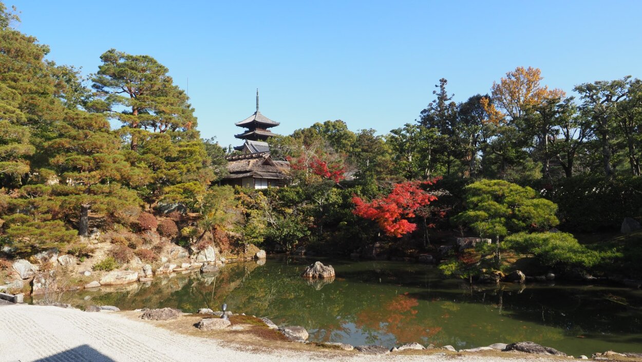 世界遺産「仁和寺（にんなじ）」の紅葉