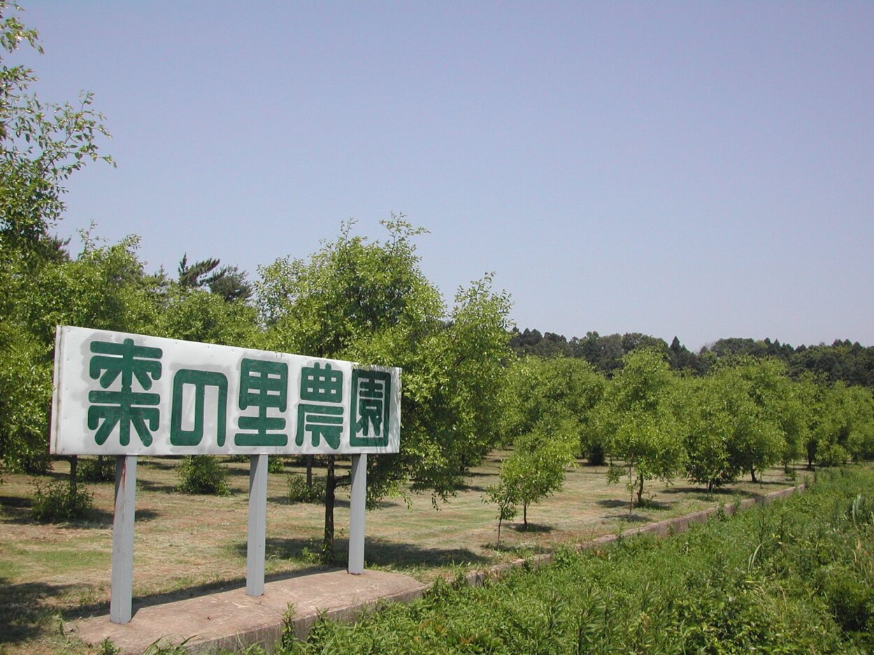 棗の里農園。昔からなつめが多く採れていた棗地区に位置する