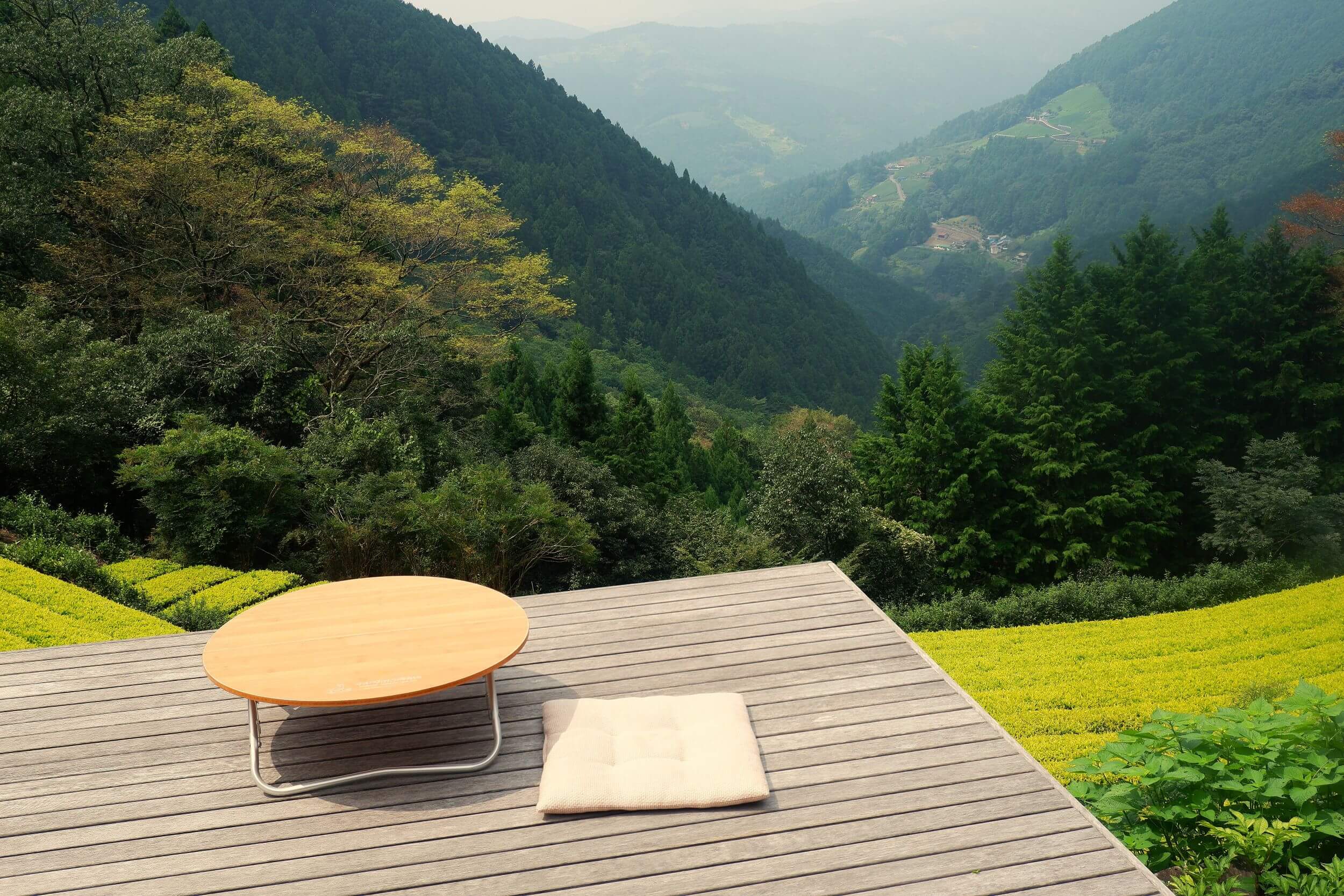 世界で唯一の黄金の茶畑が日本にあった 静岡の絶景テラスで満喫する