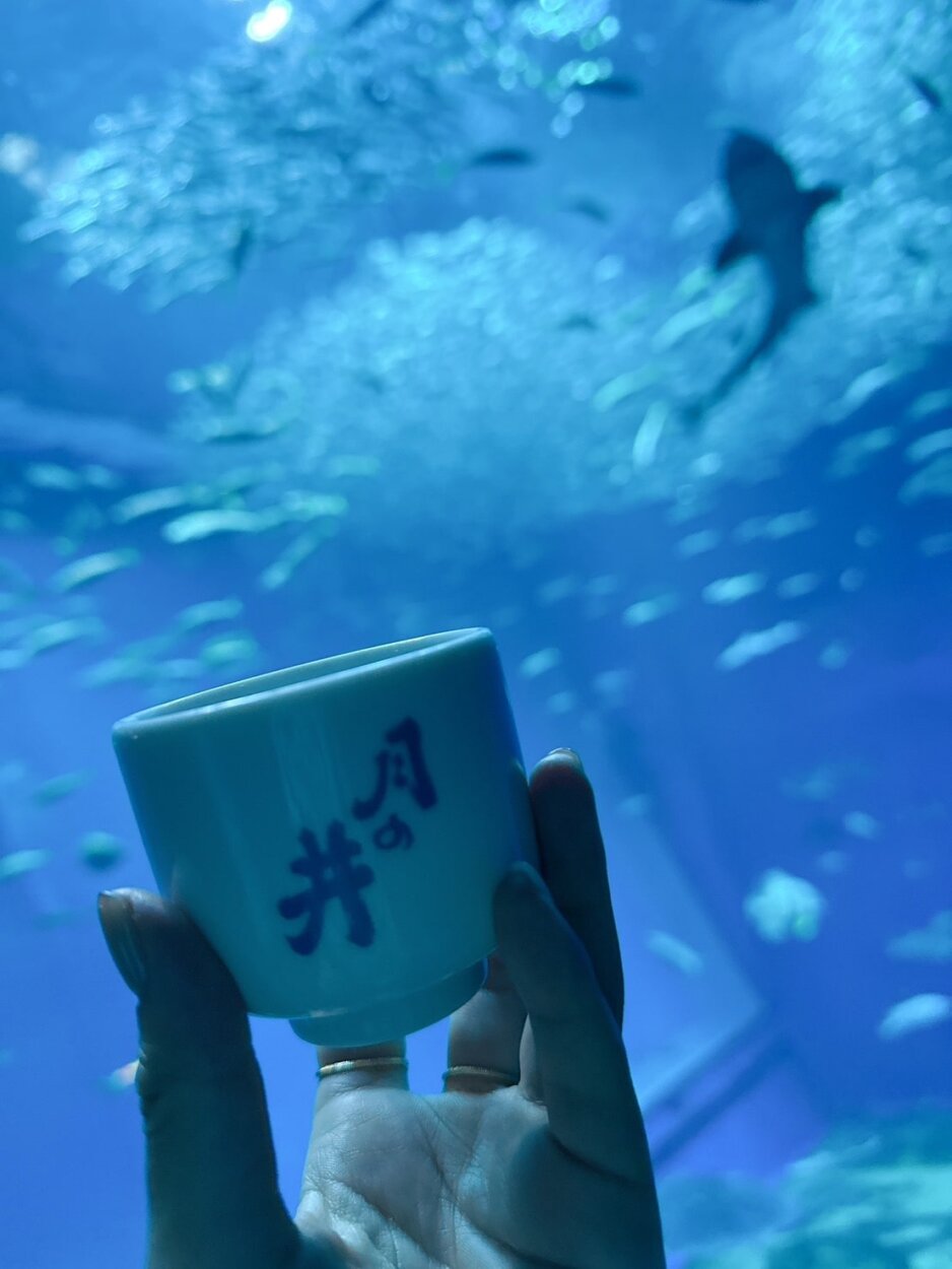 水族館の水槽とお猪口というレアショット!