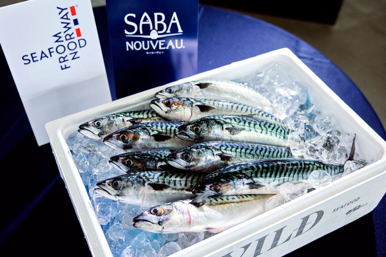 サバヌーヴォー。ノルウェーで水揚げされてから最速72時間で日本入り！　ありえないほど鮮度バツグン