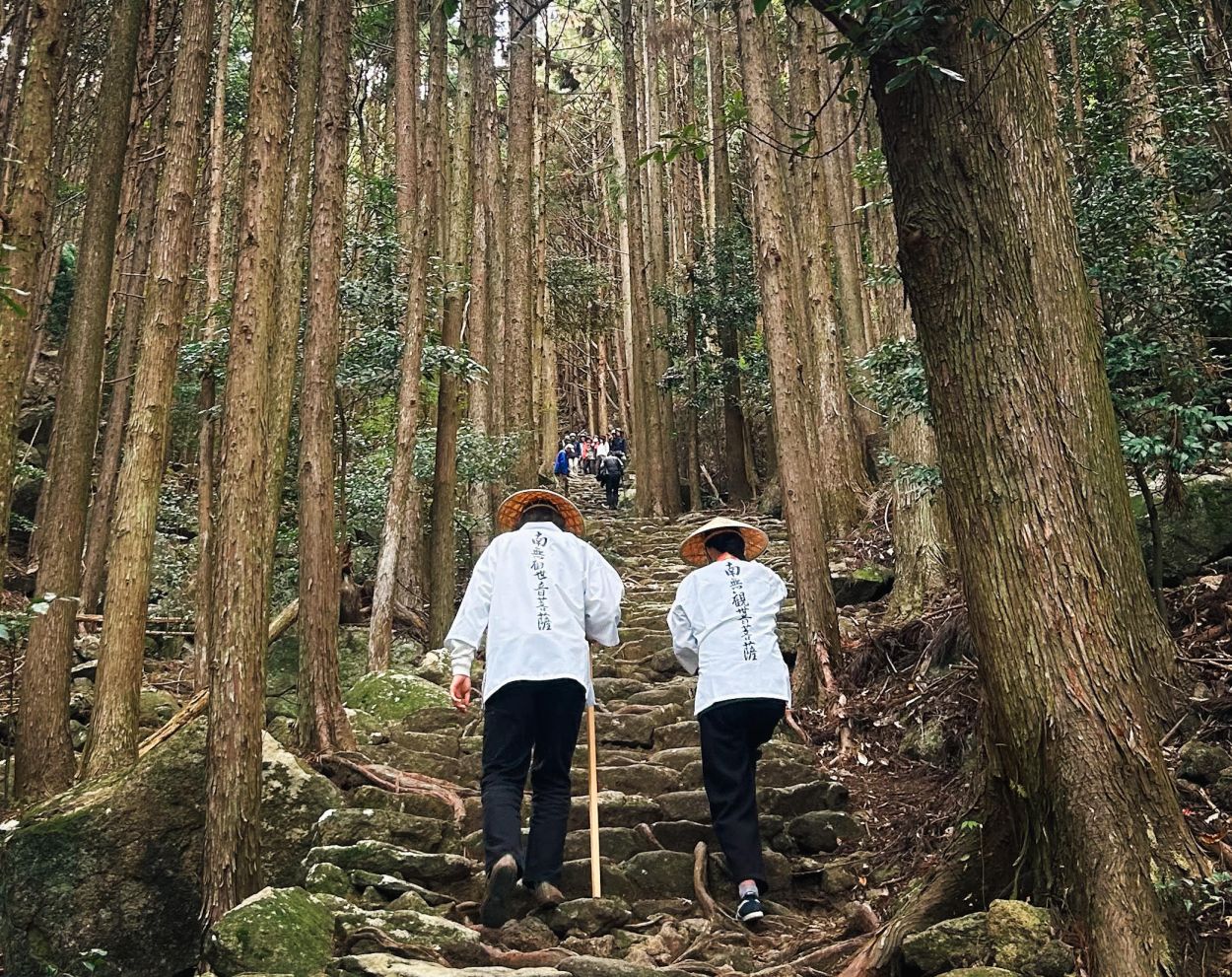 三重県熊野古道で三反帆体験と温泉を満喫する初心者おすすめコース