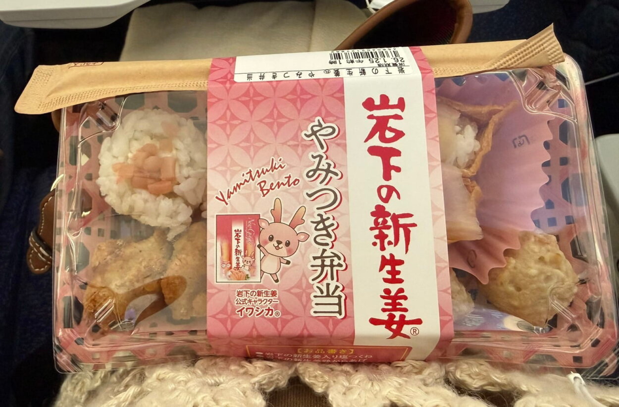 移動中に食べた空弁「岩下の新生姜 やみつき弁当」