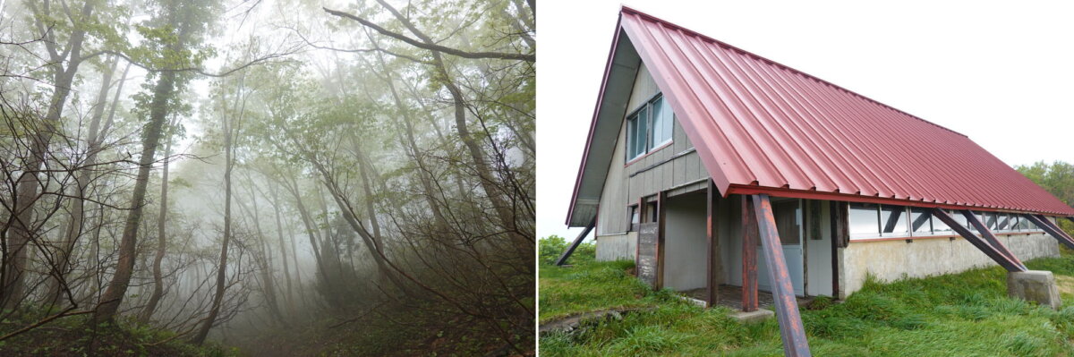 霧の小道は幻想的（左）　池のそばに避難小屋が（右）