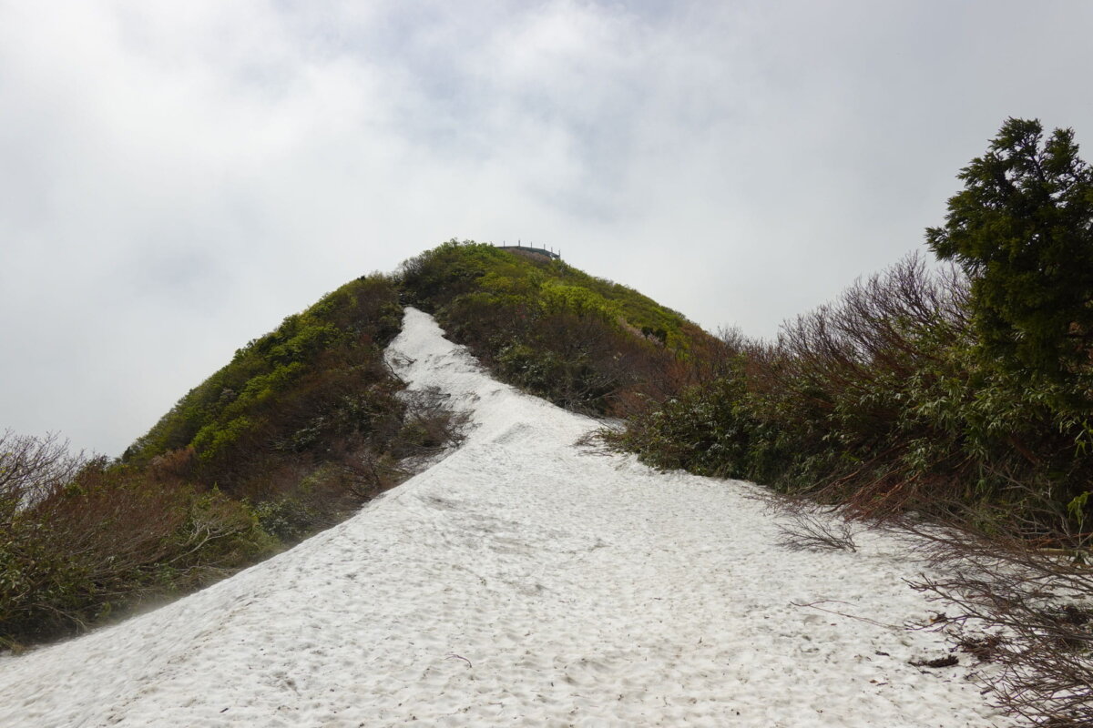 雪を被った尾根道。ほんの一瞬、霧が晴れた